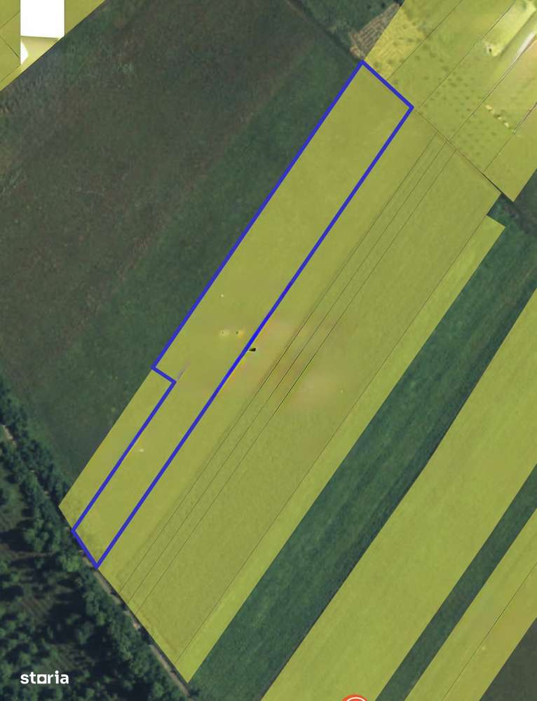 Teren de vanzare Valea Fanatelor 1500mp - Imagine principală: 2/3