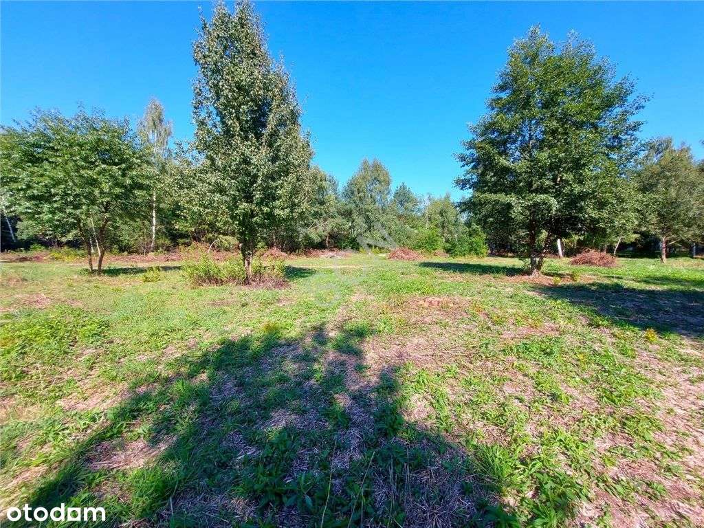 Działka W Sąsiedztwie Lasu - Pełny obrazek: 2/6