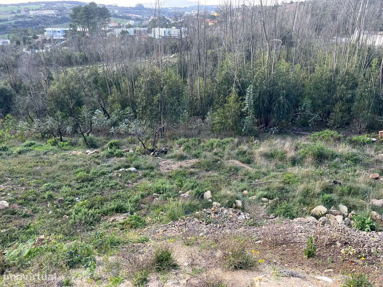 Terreno Urbano para Construção em Almargem do Bispo - Grande imagem: 2/7