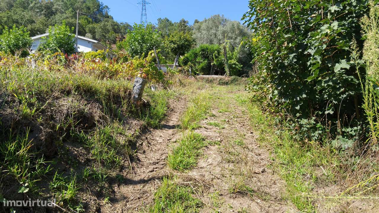 Terreno em Dornelas; Amares-9
