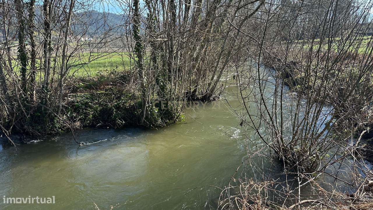 Quintinha para Venda – Um Refúgio Único em Plena Natureza a confrontar - Grande imagem: 4/42