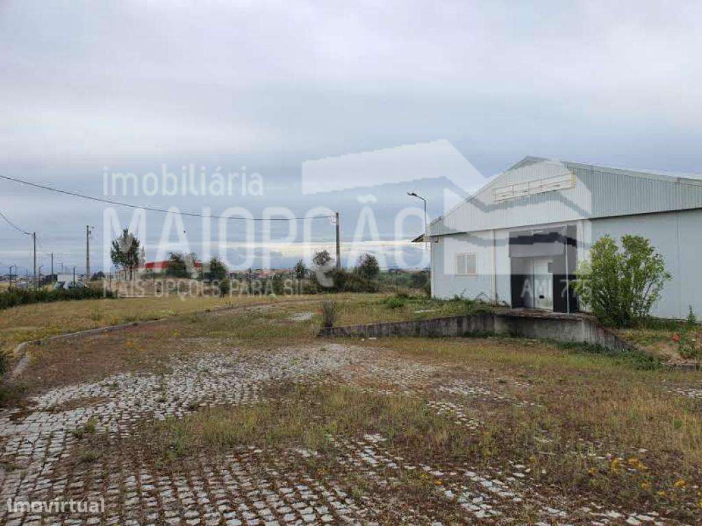 Armazém em Vilar Formoso - Grande imagem: 3/17