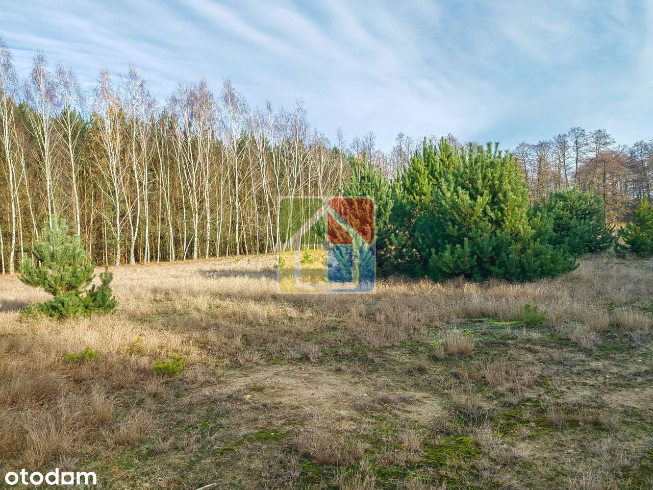 Duża działka 3002 m² przy lesie, 100 m od rzeczki-0