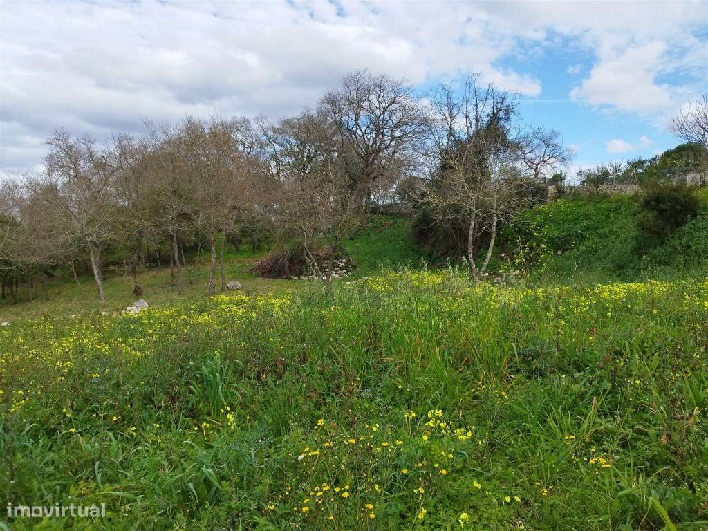 Terreno Urbano Venda Leiria-15
