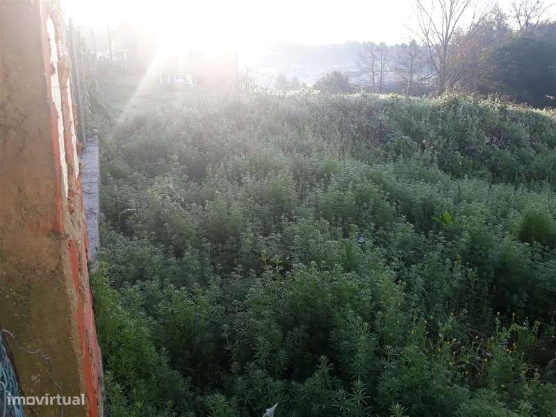 Terreno para Construção em Santiago Riba-Ul, Oliveira de Azeméis - Grande imagem: 4/5