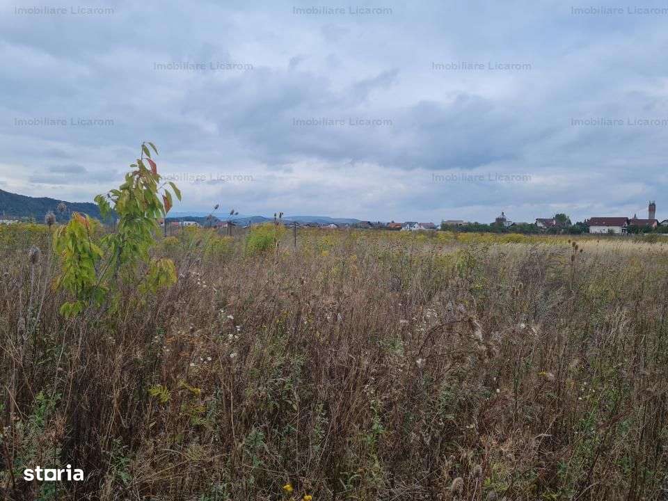 De vanzare teren  502 mp Harman Aleea 14 pret 40000 euro-2