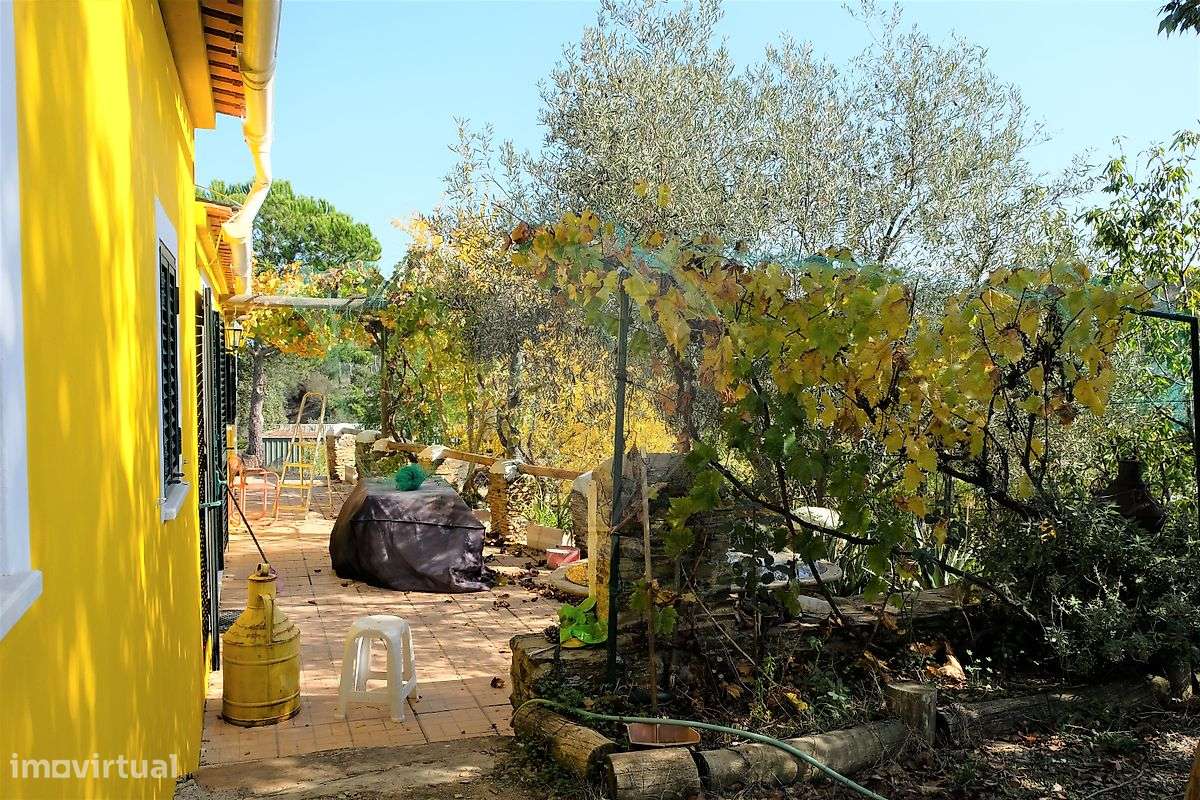 Moradia T2 para venda - Grande imagem: 5/42