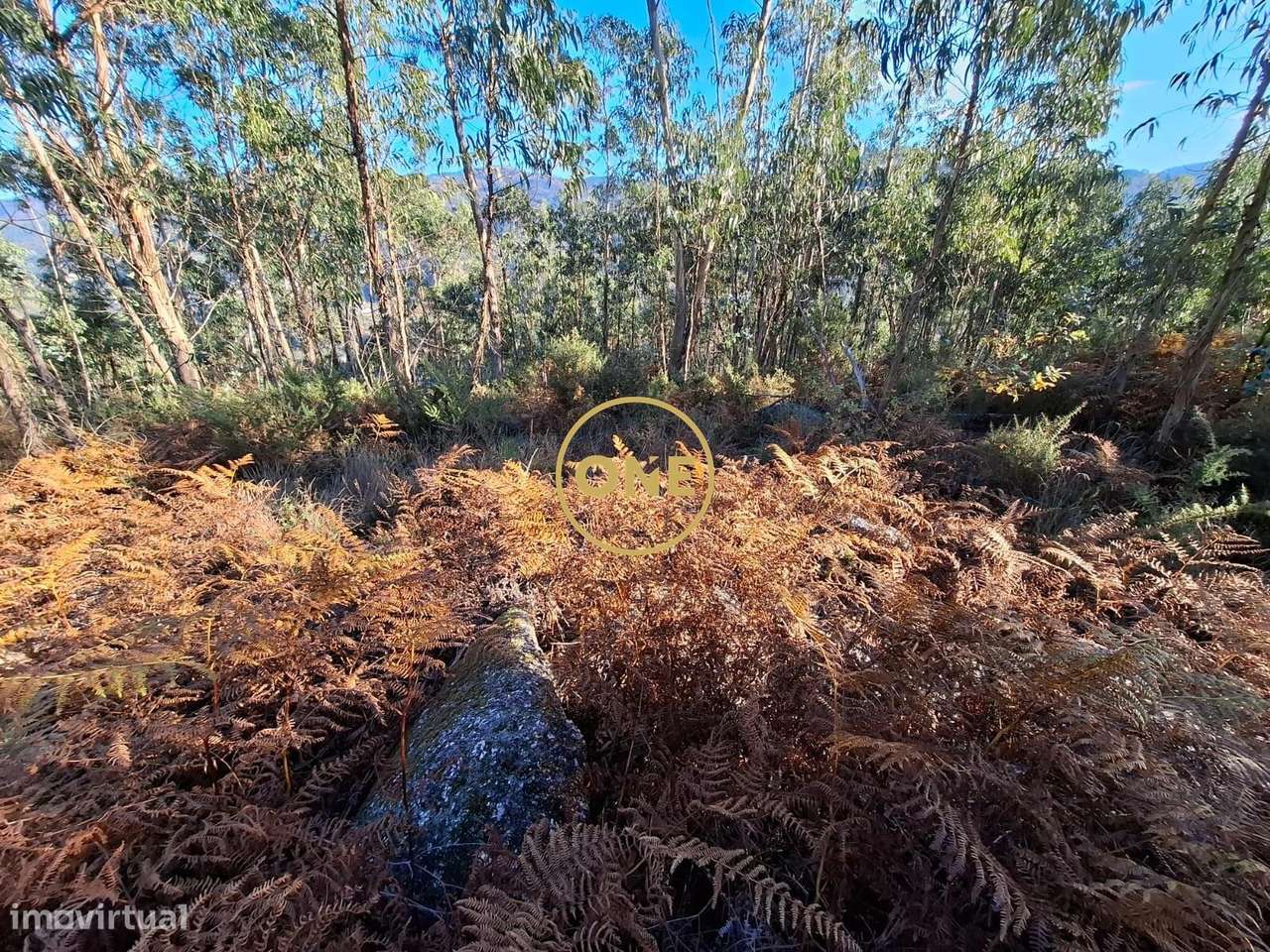 Terreno Rústico em Valbom (São Martinho), Vila Verde - Grande imagem: 2/5