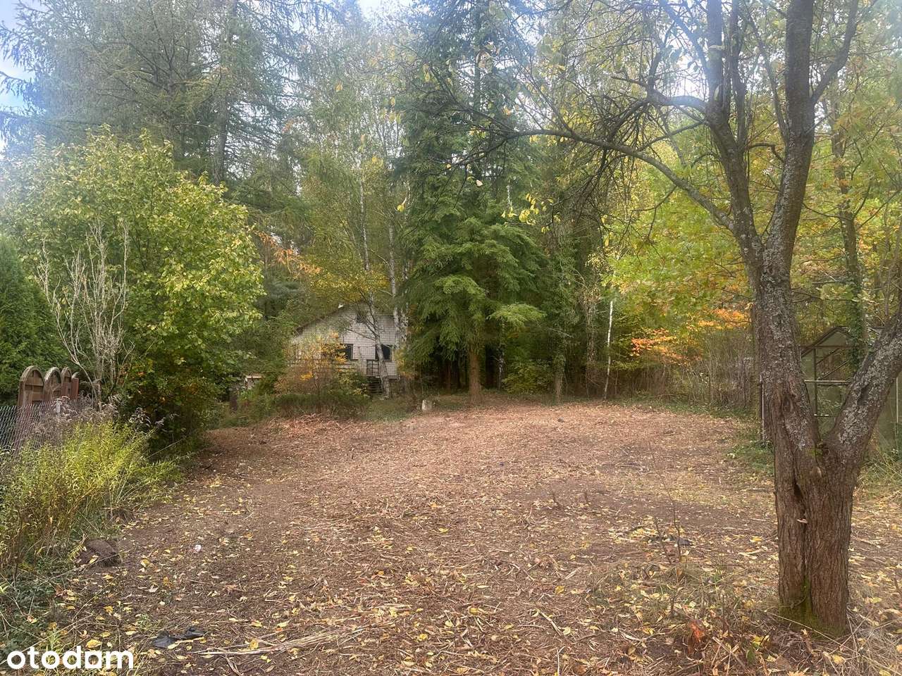 Kołbiel / Radachówka dz. budowlana nad Świdrem 30 min z W-wy trasą S17-13