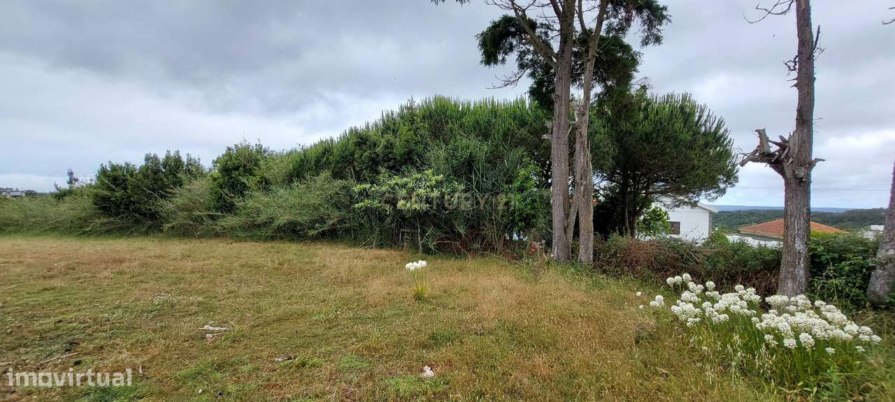 Terreno com Vista Panorâmica em Casal da Eira - Cela Nova, Alcobaça - - Grande imagem: 4/10
