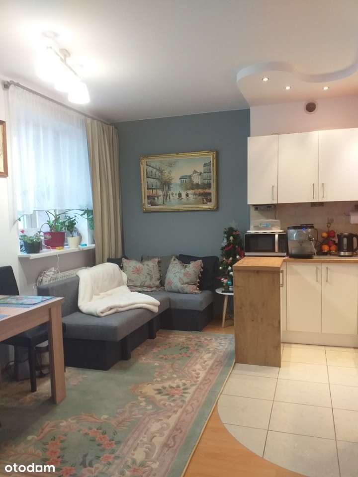 M3 45m2 Zielony Romanów, 1 piętro, balkon, cegła, DO WPROWADZENIA - Pełny obrazek: 4/8