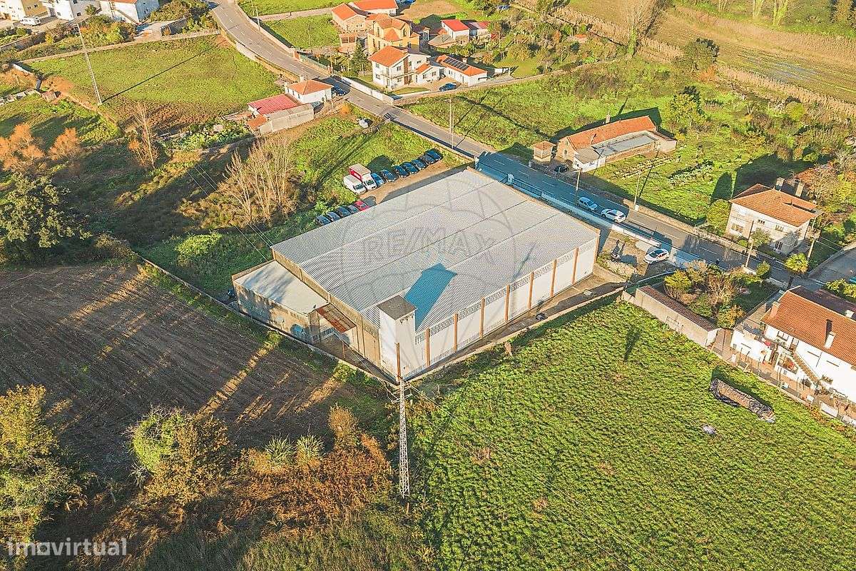 Armazém  para arrendamento - Grande imagem: 4/31