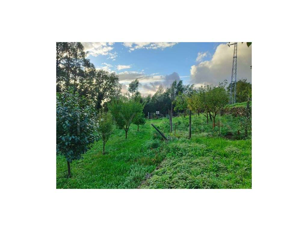 Terreno de Construção em Roussas, Melgaço - Grande imagem: 4/15