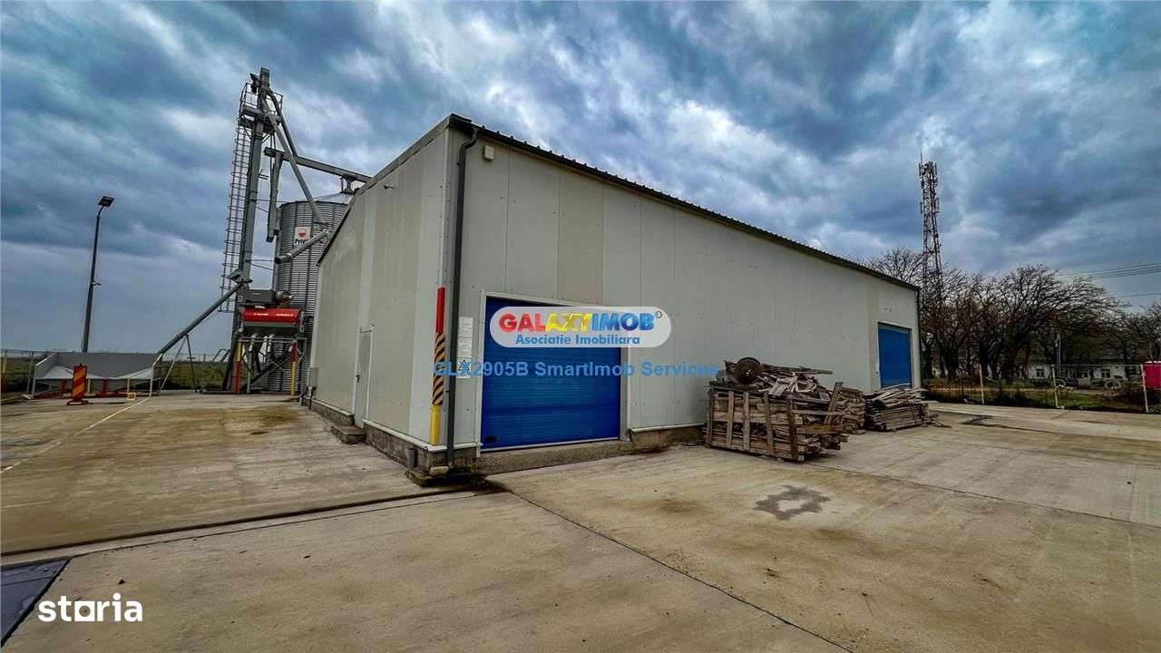 Siloz cu 880tone capacitate totala(4 celule) si| 1650mp teren - Imagine principală: 5/13