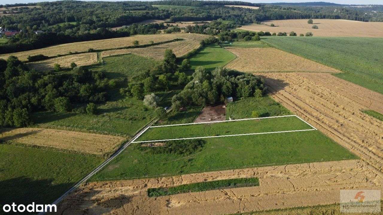 piękna działka 24 ary Radwanowice rolna > zagrodowa-3