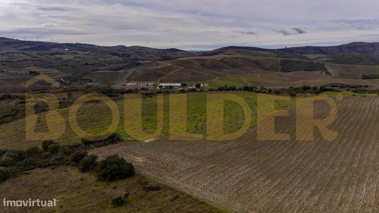 Quinta do Arieiro - Cedovim | Vila Nova de Foz Côa | Douro Superior-42
