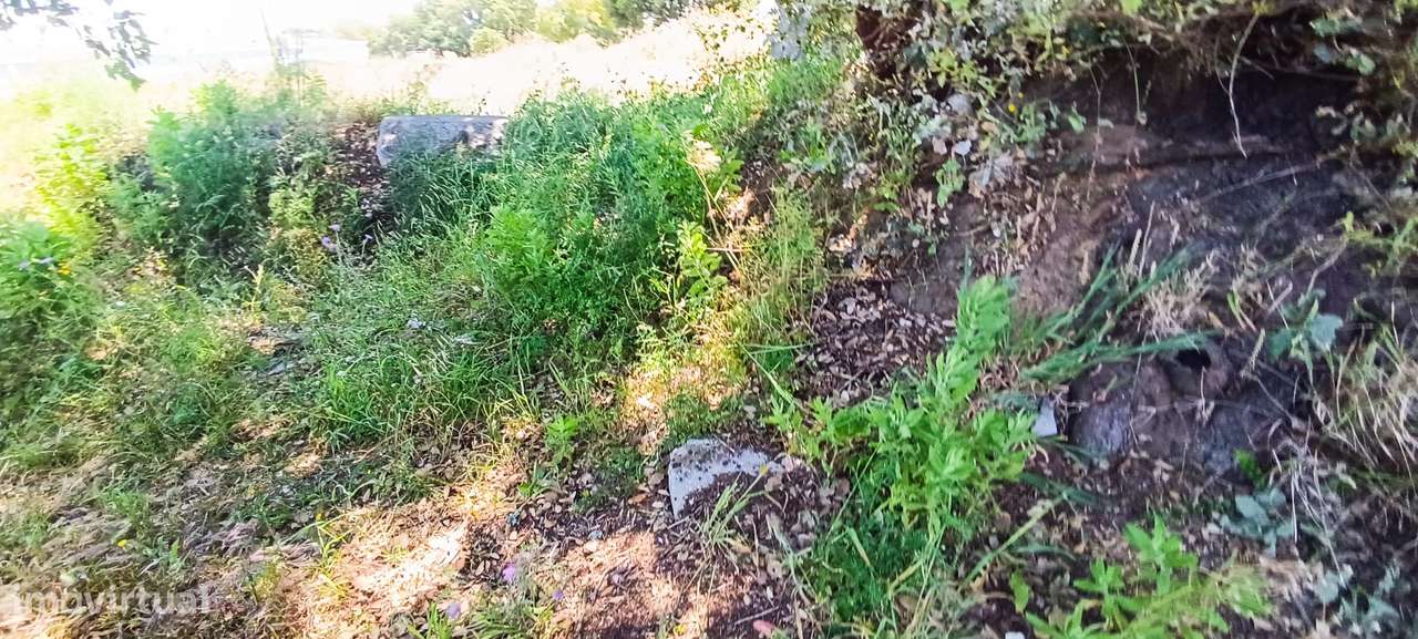 Terreno Rústico – Palmela-2