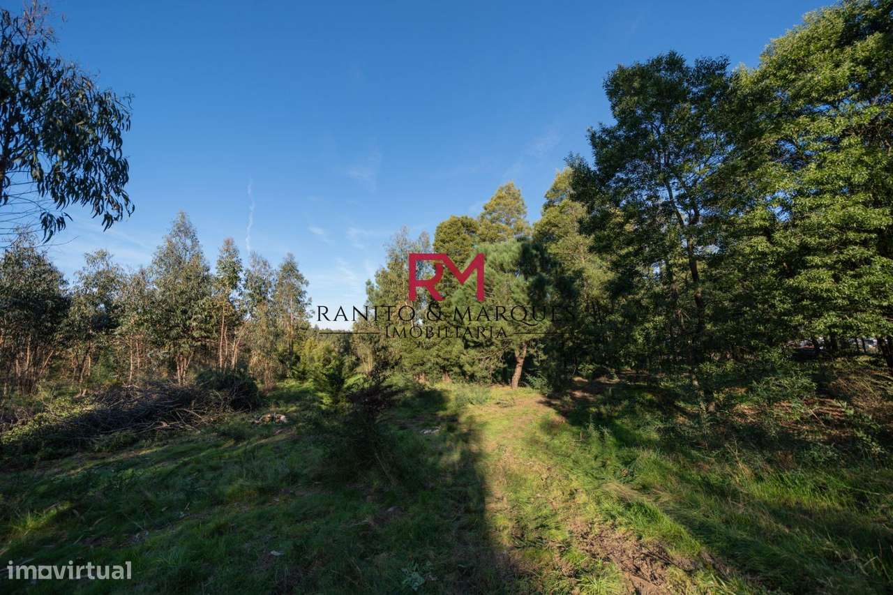 TERRENO PARA CONSTRUÇÃO MORADIAS - PAREDES, BITARÃES - Grande imagem: 3/5