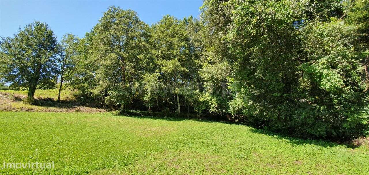 Terreno Rústico - Grande imagem: 4/9