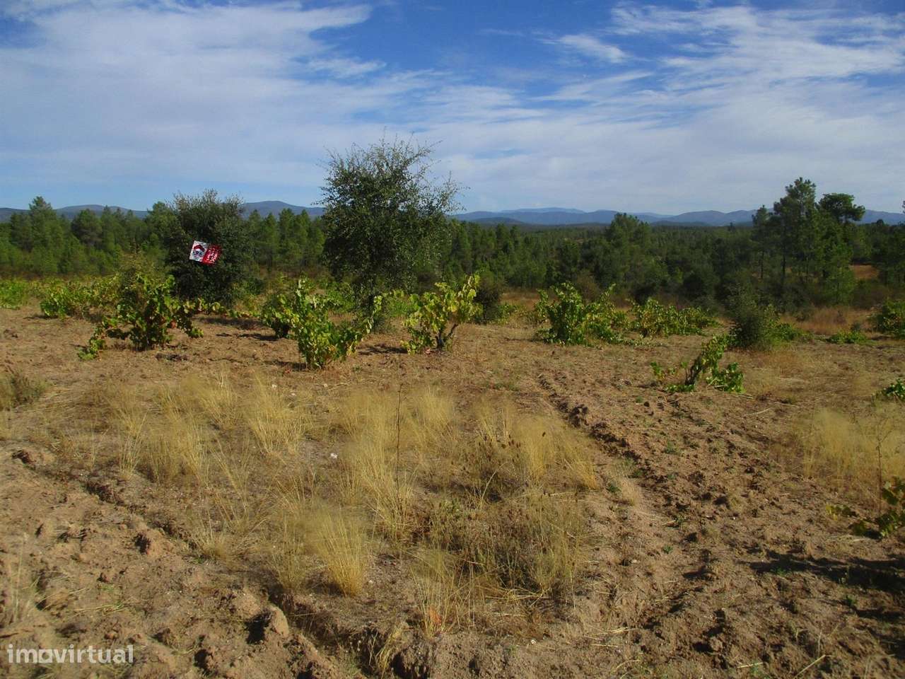 Terreno - Grande imagem: 5/9