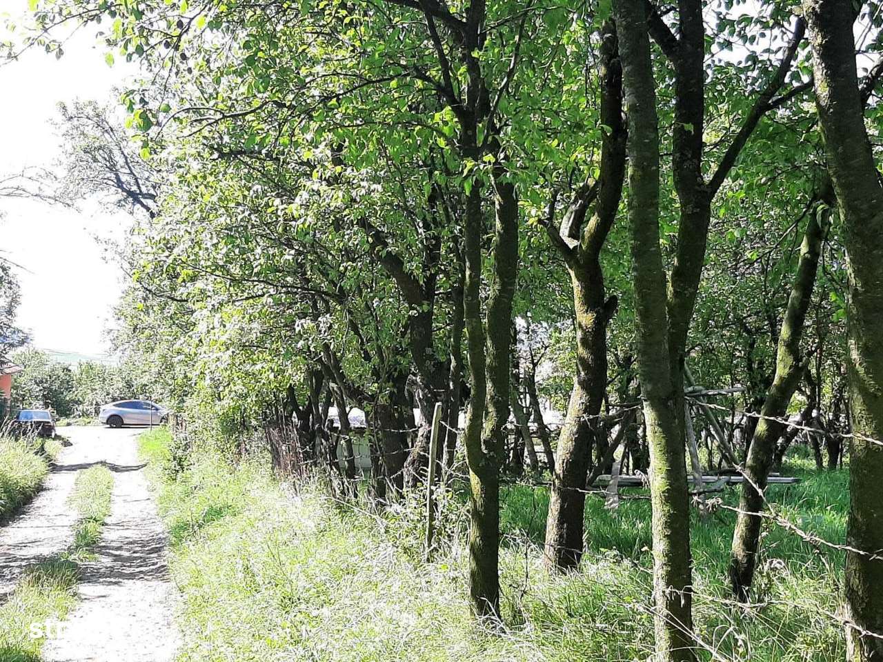 Casă si teren de vanzare in Rediu - Imagine principală: 4/8