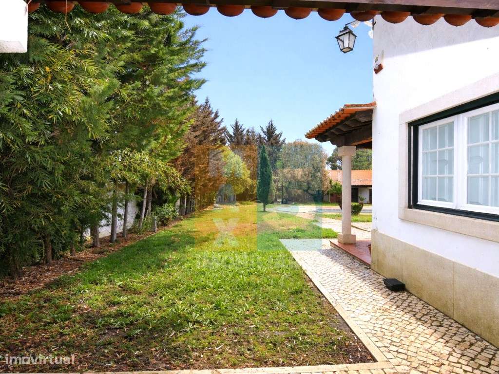 Quinta com 4.880 m2 - Alpiarça-42