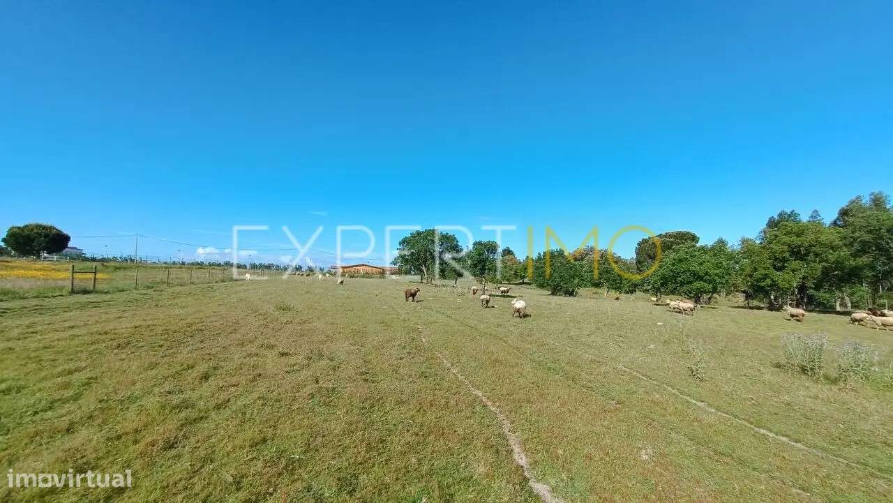 Terreno rústico em Canha - Grande imagem: 4/10