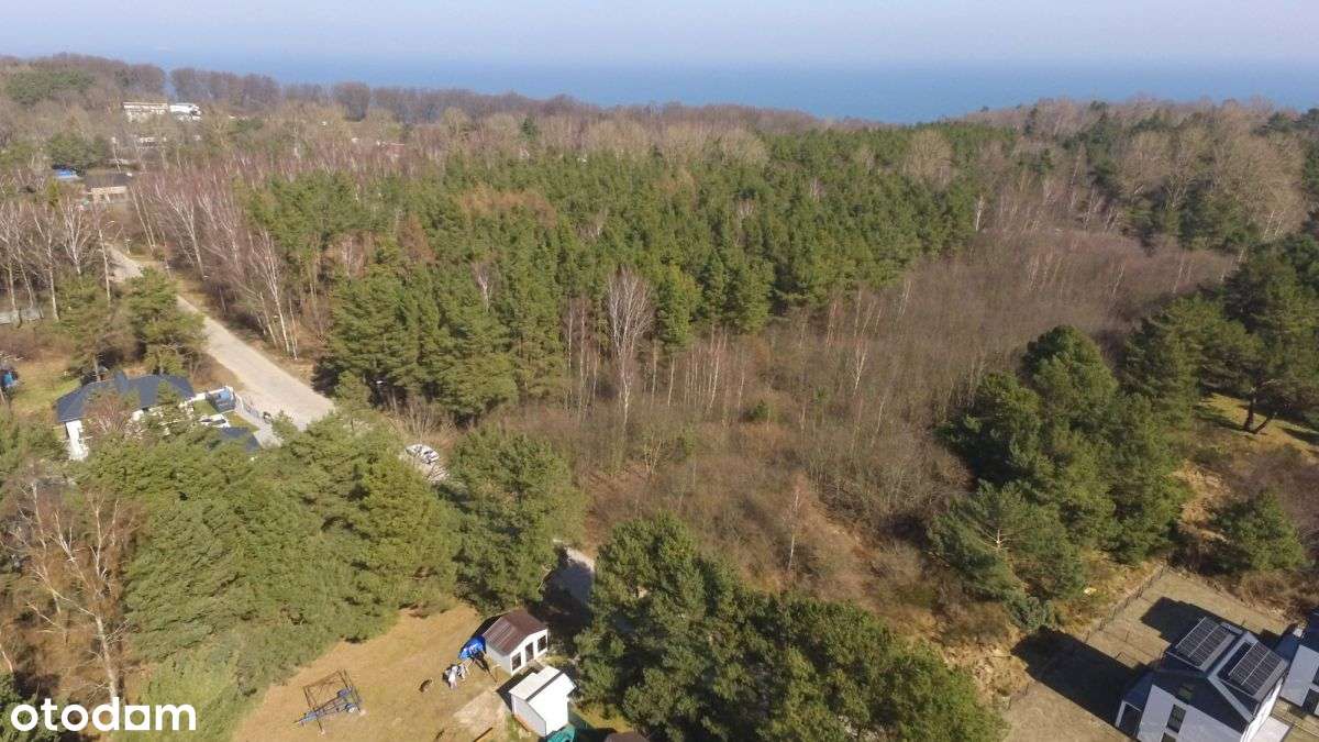 Działka nad morzem Rozewie - Pełny obrazek: 5/7