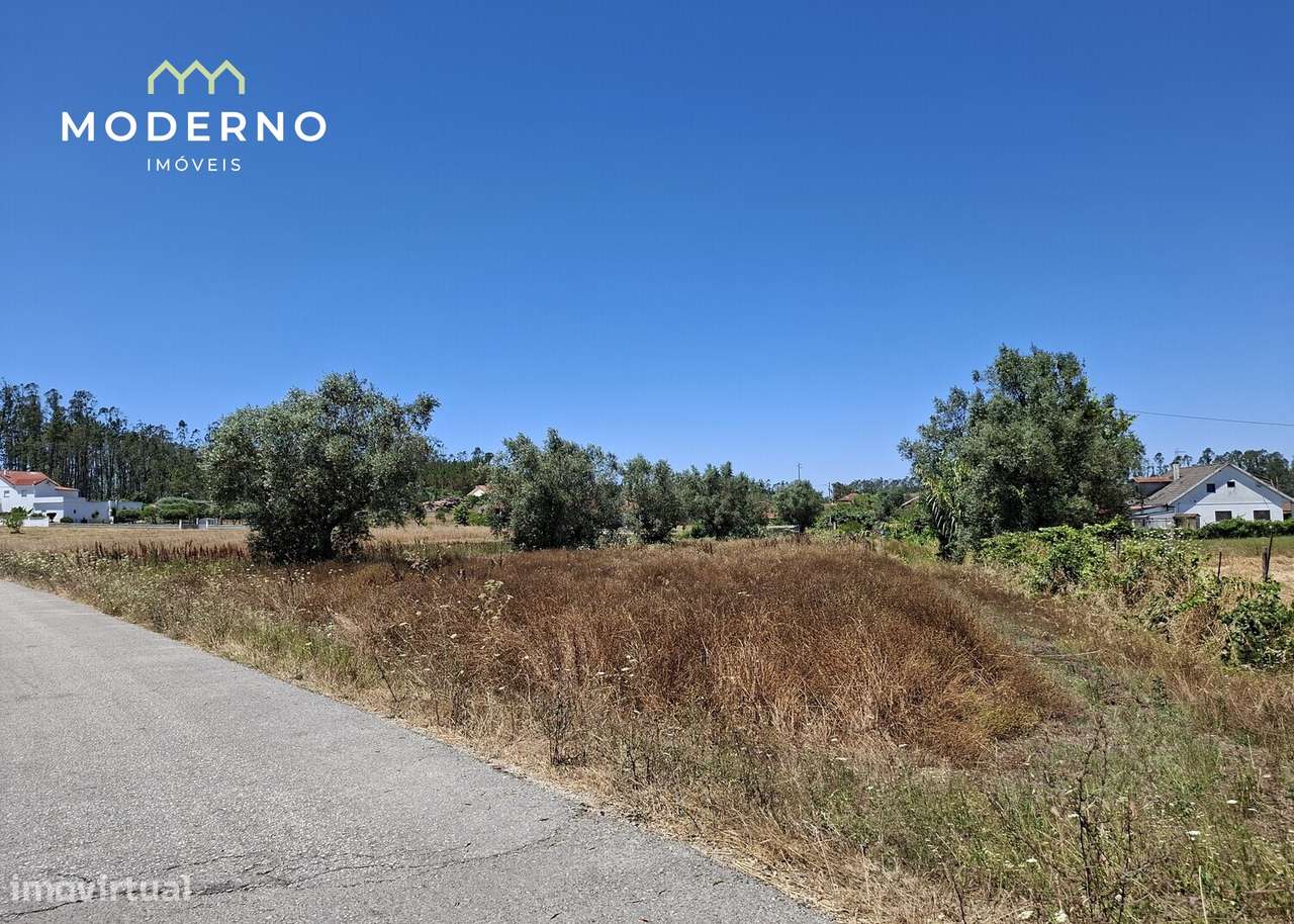 Terreno Construção – Moitas Brancas, Ilha, Pombal-7