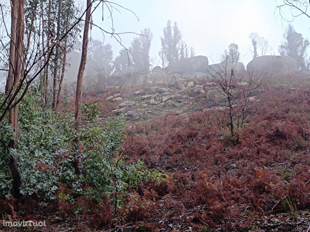 Terreno  para venda