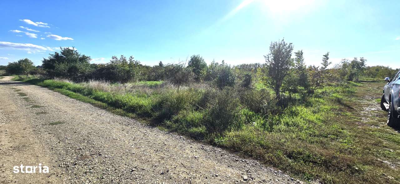 Teren intravilan Crevedia, Manastirea, 500mp - 17.000 euro, 0%comision-11