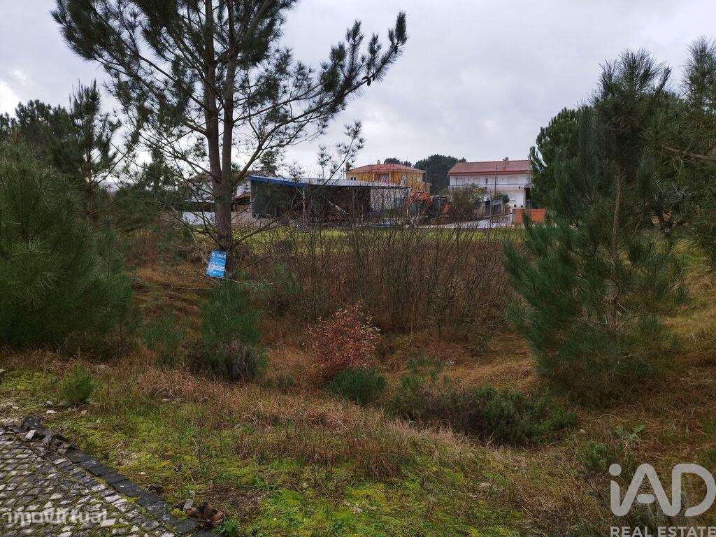 Terreno em Coz, Alpedriz e Montes de 560,00 m2 - Grande imagem: 5/14