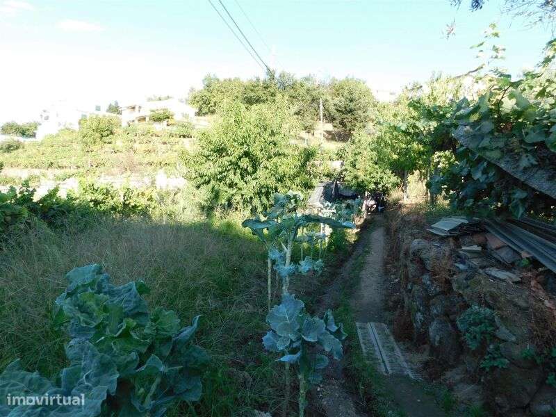 Terreno / Seia, Seia - Grande imagem: 4/11