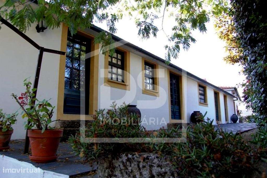 Douro Vinhateiro, Quinta Turística-37