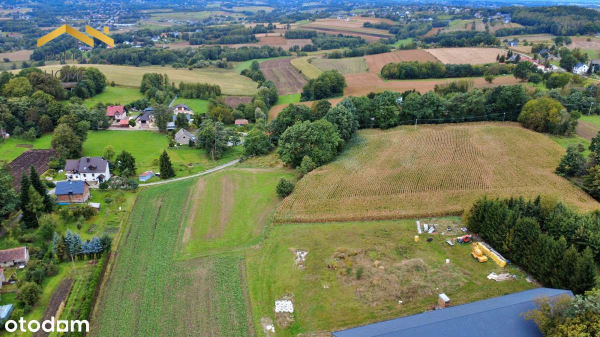 Atrakcyjna działka w Zborczycach - Pełny obrazek: 4/12