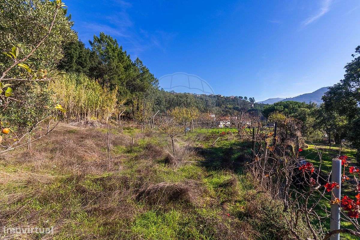 Terreno  para venda-10