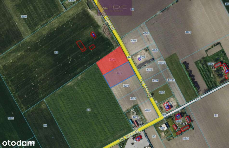 Działka budowlana z MPZP pod Kutnem. Okazja! - Pełny obrazek: 4/4