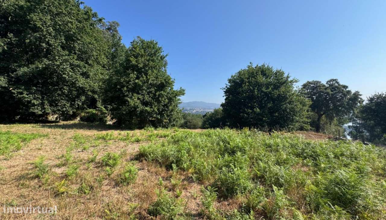 Venda Terreno, Boelhe, Penafiel-6