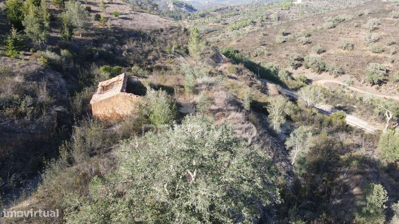Quinta com 1,0250 ha e uma ruína em Luzianes Gare - Grande imagem: 3/19