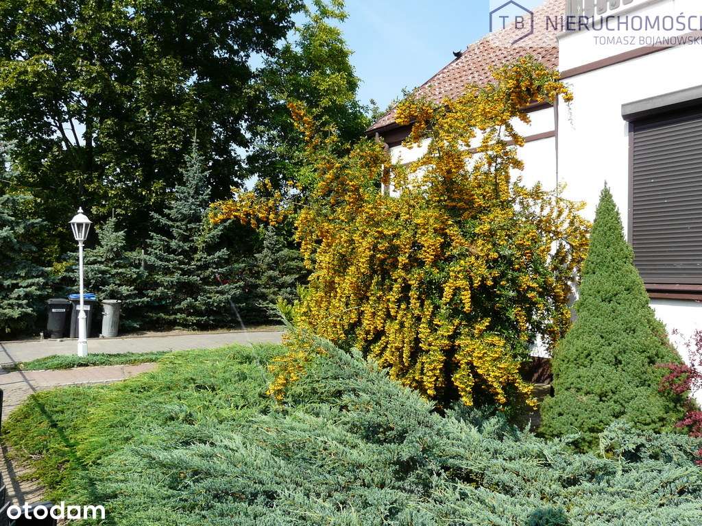 SPRZEDAM WILLĘ W SZAMOTUŁACH-CENTRUM-2