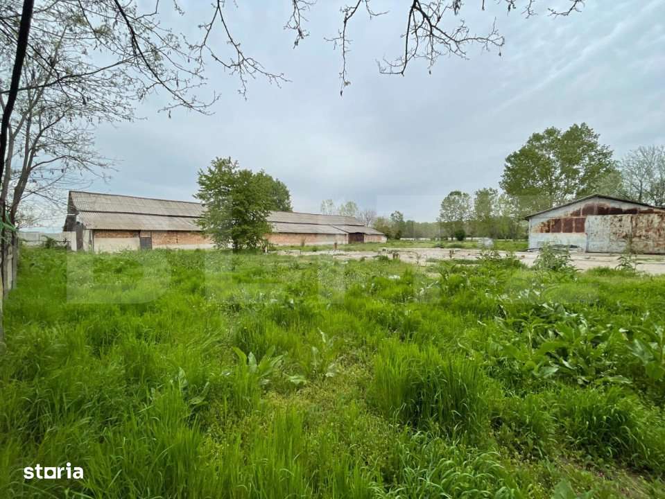 Oportunitate! Teren intravilan 3 hectare, Bals - Imagine principală: 3/5