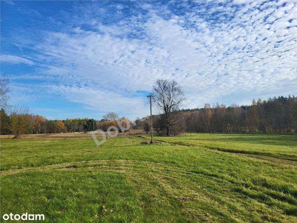 Nowa oferta - działka przy Rezerwacie - Pełny obrazek: 4/20