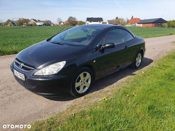 Peugeot 307 CC 2.0 - 13