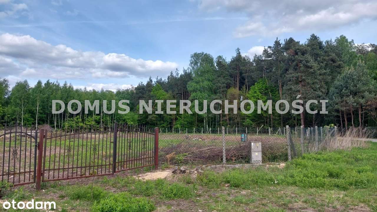 Działka - Rosanów-8