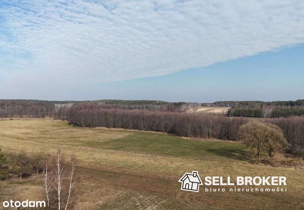 Działka z linią brzegową ponad 2 ha / mpzp - Pełny obrazek: 5/8