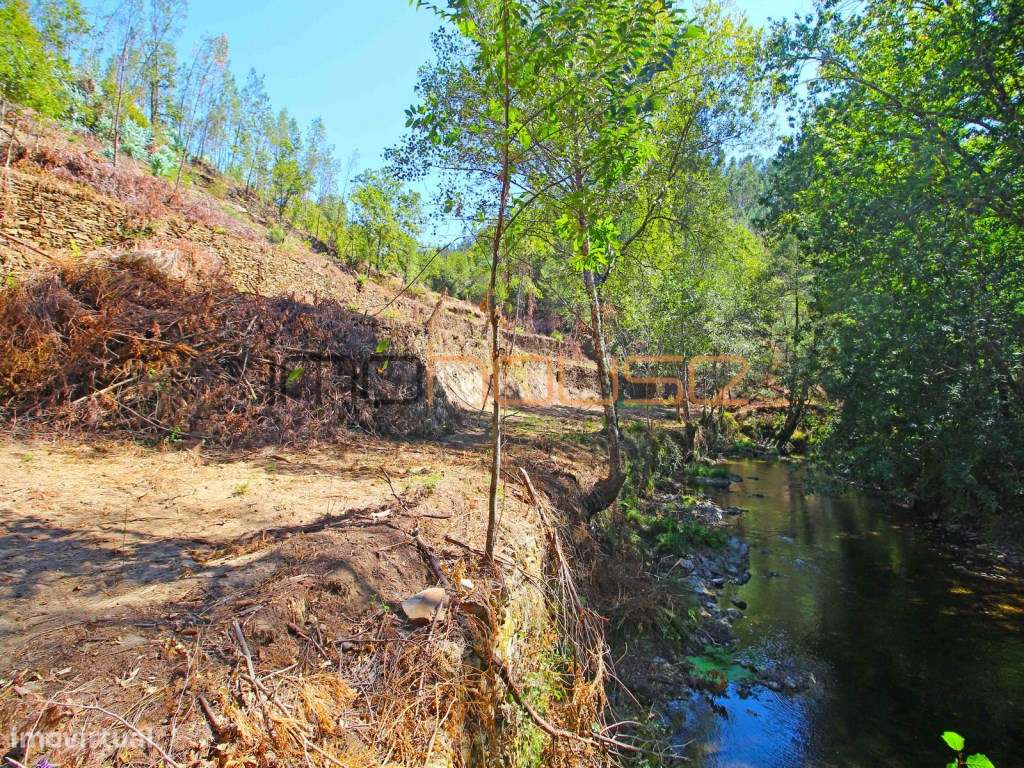 Quinta Isolada com Margem de Rio e Potencial de Eco-Retiro - Arouca-45