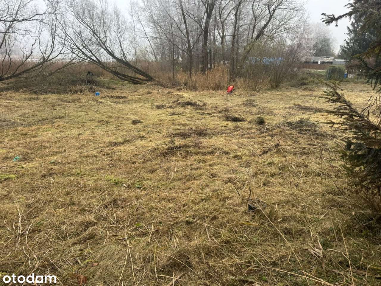 NA Sprzedaz Działka Z Linią Brzegową Jeziora-7