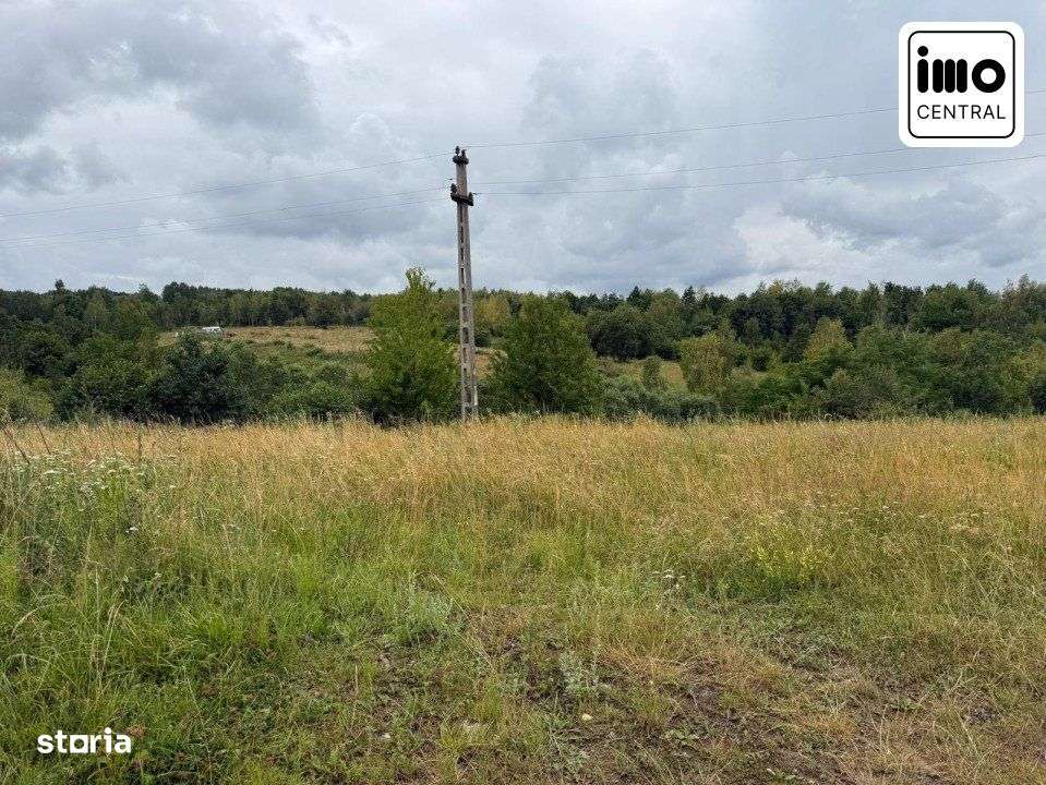 Teren de vanzare Balcesti, ideal pentru investitie si constructie caba - Imagine principală: 4/5