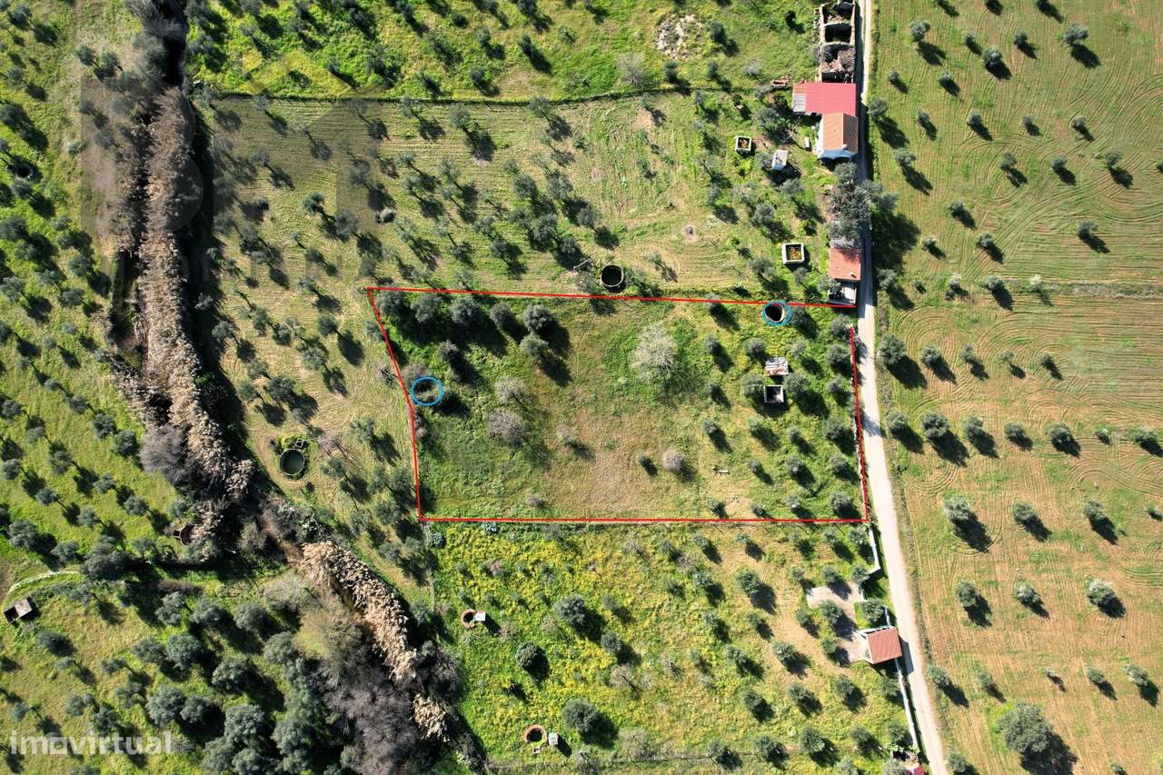 Terreno Rústico  Venda em Toulões,Idanha-a-Nova - Grande imagem: 5/28