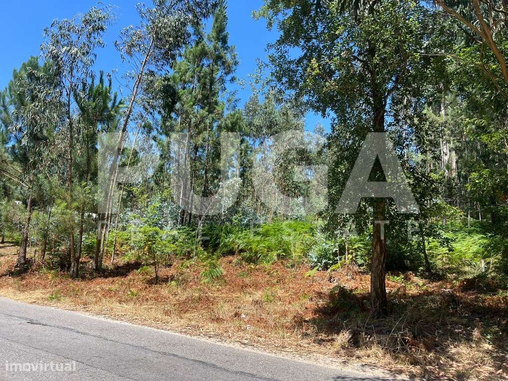 Oportunidade única em Vila Maior - Terreno com 1619m2 e óptima loca...-0